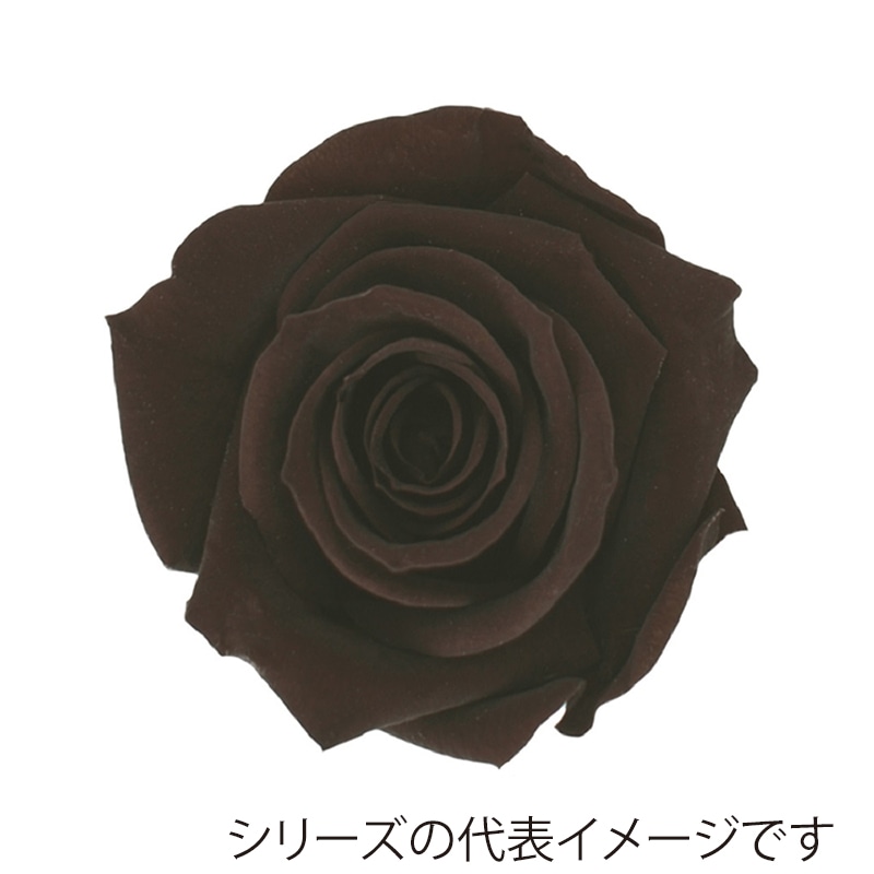 ビターショコラ