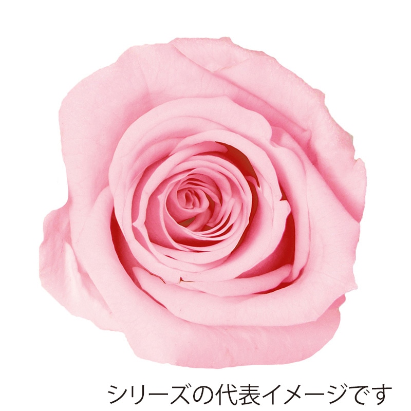 マリッジピンク