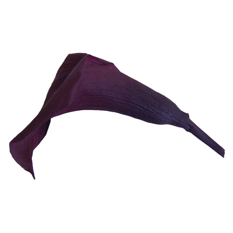 モノ・インターナショナル verdissimo　プリザーブドフラワー 57058　ミニカラー ブラックベリー 1箱（ご注文単位1箱）【直送品】