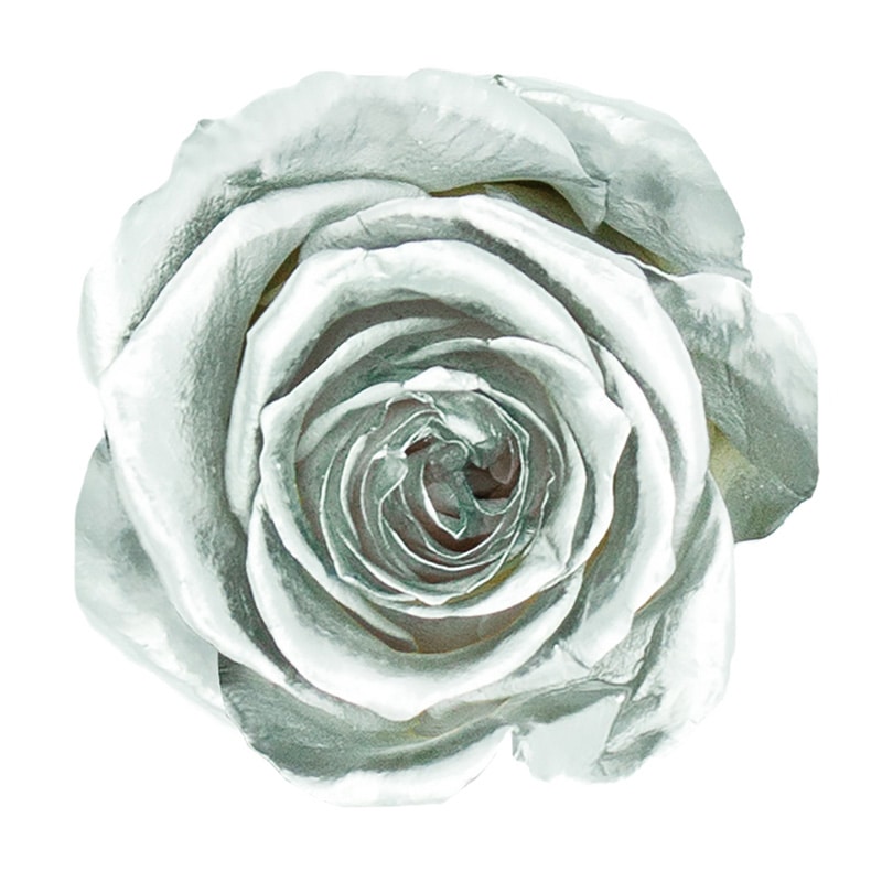 モノ・インターナショナル verdissimo　プリザーブドフラワー 58492　ジュエルプリンセス シルバー 1箱（ご注文単位1箱）【直送品】