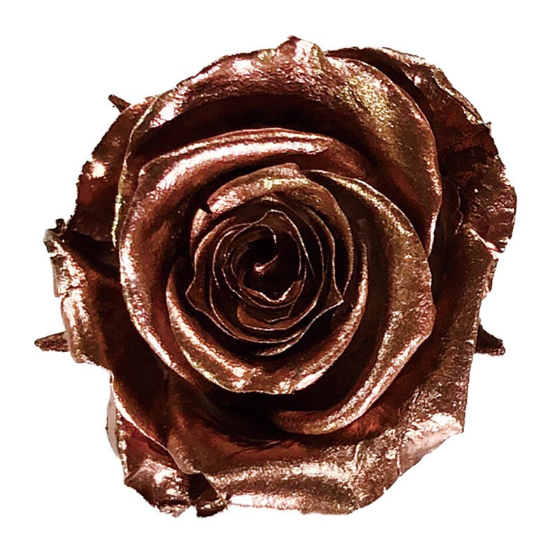 モノ・インターナショナル verdissimo　プリザーブドフラワー 58493　ジュエルプリンセス ブロンズ 1箱（ご注文単位1箱）【直送品】