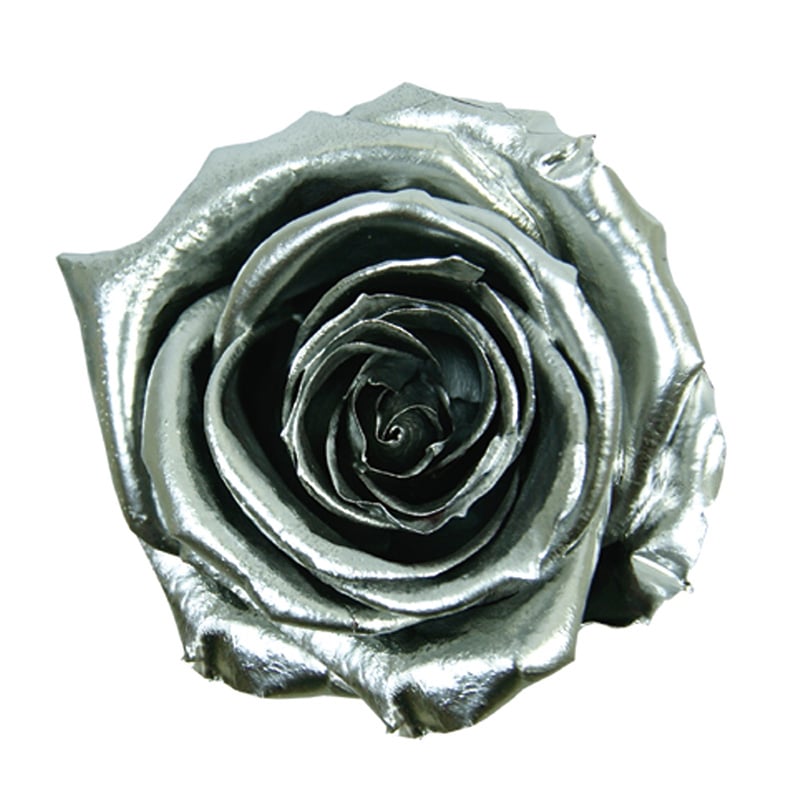 モノ・インターナショナル verdissimo　プリザーブドフラワー 58592　ジュエルローズ シルバー 1箱（ご注文単位1箱）【直送品】