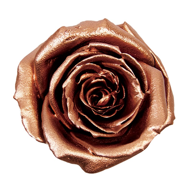 モノ・インターナショナル verdissimo　プリザーブドフラワー 58593　ジュエルローズ ブロンズ 1箱（ご注文単位1箱）【直送品】