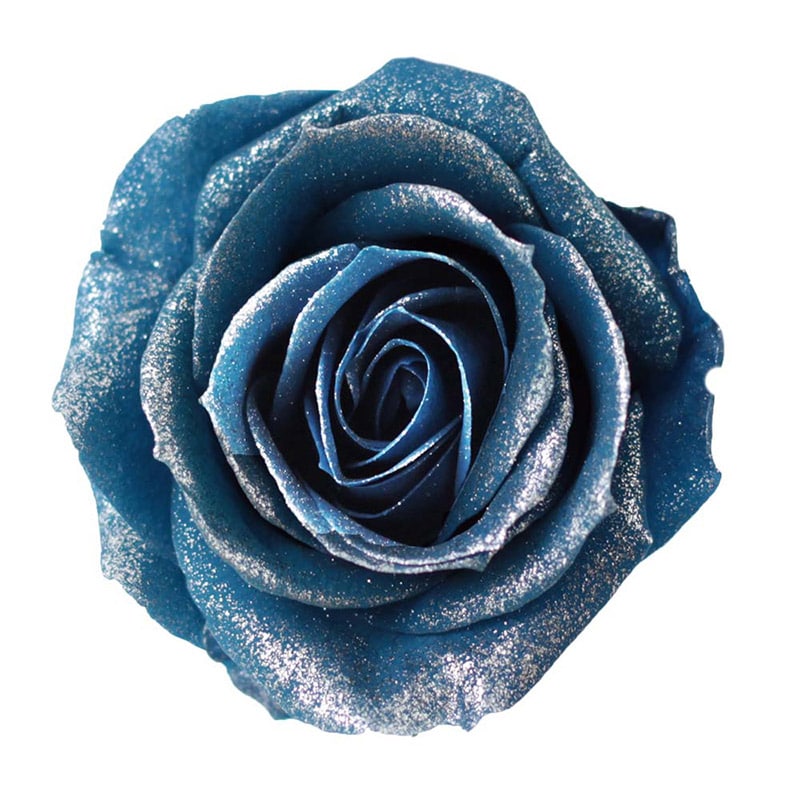 モノ・インターナショナル Primavera　プリザーブドフラワー 86087　バースローズ サファイアブルー 1箱（ご注文単位1箱）【直送品】