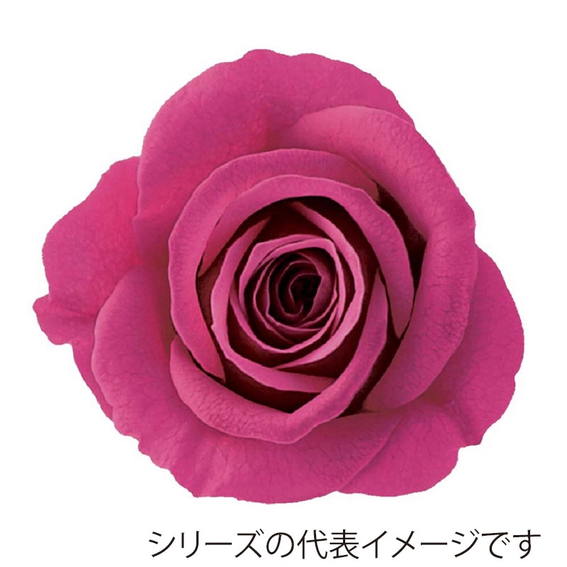 ハッピーピンク