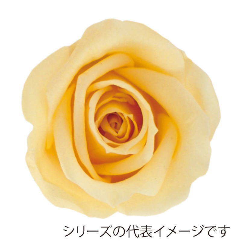 シュークリーム