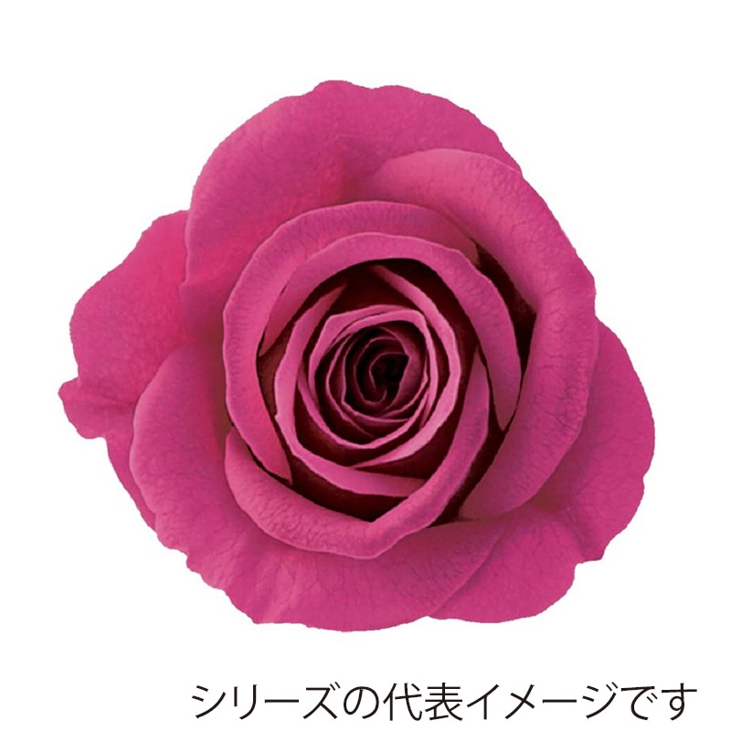 ハッピーピンク