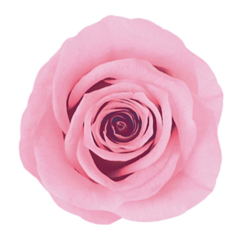 シルキーピンク