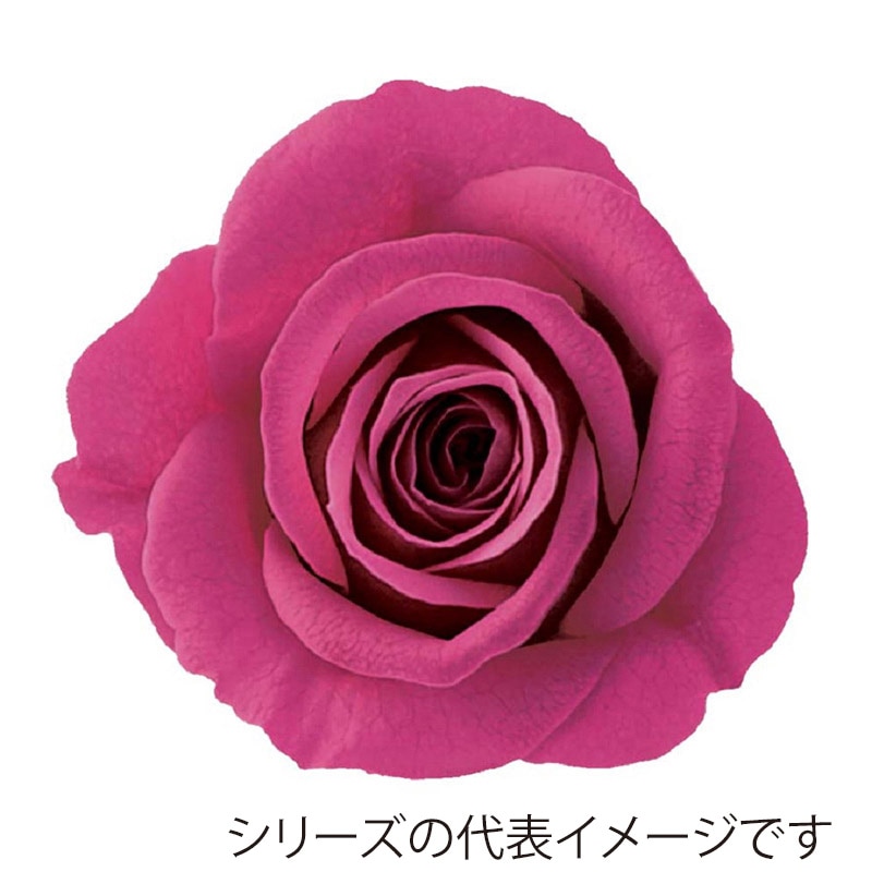 ハッピーピンク