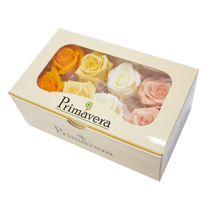 モノ・インターナショナル Primavera プリザーブドフラワー 86690 ミニーニ アソート イエローパレット 1箱(ご注文単位1箱)【直送品】