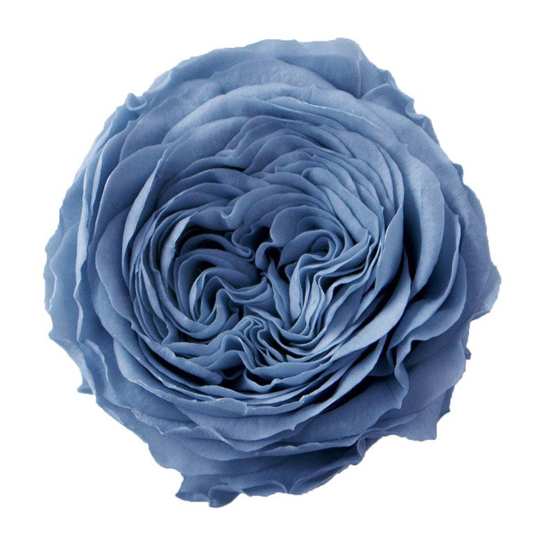 アシュレーブルー