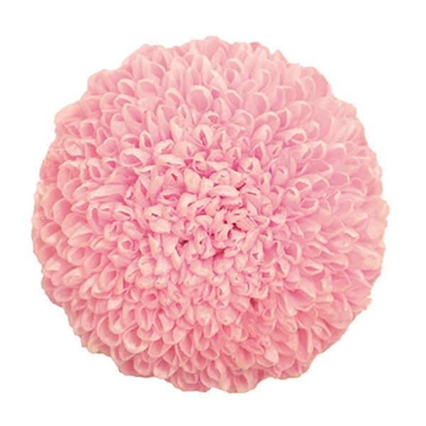 モノ・インターナショナル Primavera　プリザーブドフラワー 89106　ポンポンマム ライトピンク 1箱（ご注文単位1箱）【直送品】