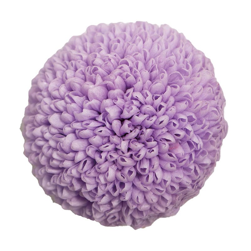 モノ・インターナショナル Primavera　プリザーブドフラワー 89139　ポンポンマム スウィートラック 1箱（ご注文単位1箱）【直送品】