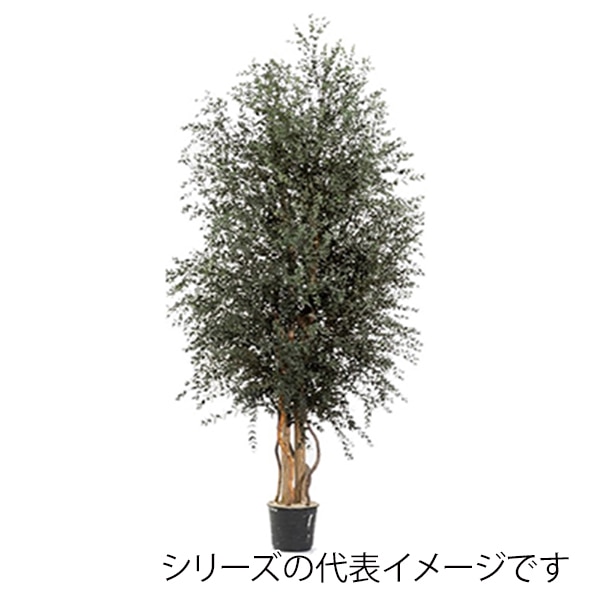 モノ・インターナショナル verdissimo　プリザーブドフラワー wpa0118 ワイドパルビフォリアツリー　1.8m 1個（ご注文単位1個）【直送品】