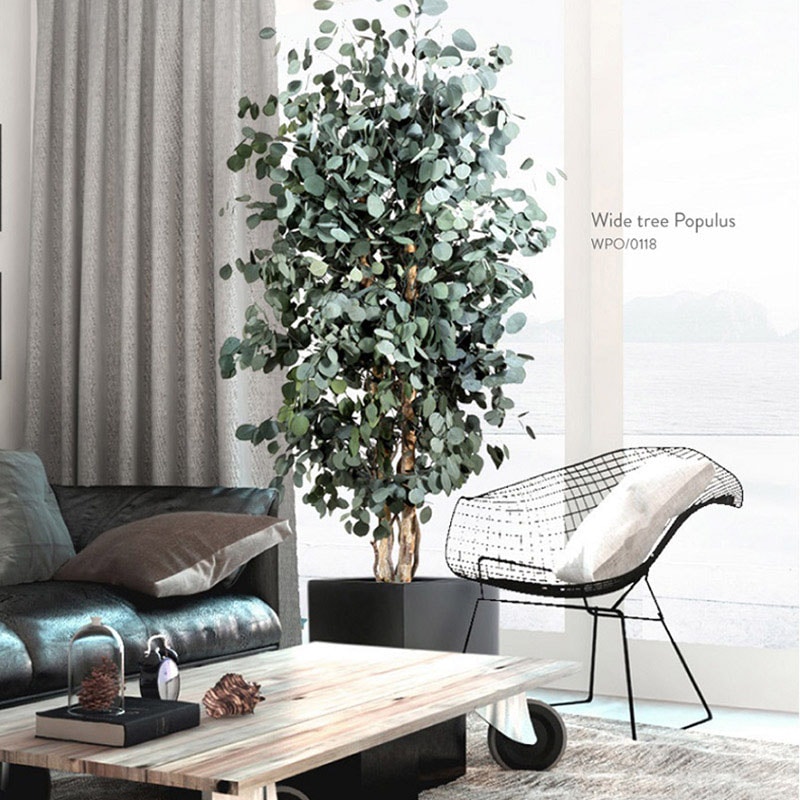 モノ・インターナショナル verdissimo　プリザーブドフラワー wpo0118 ワイドポプルスツリー　1.8m 1個（ご注文単位1個）【直送品】