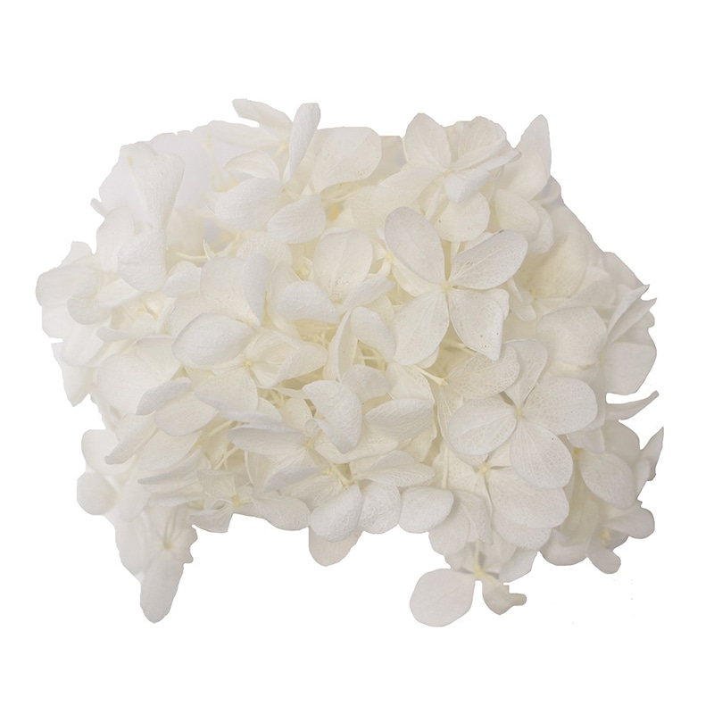 モノ・インターナショナル MONO　プリザーブドフラワー GPP-01　ピラミッドアジサイ ピュアホワイト 1箱（ご注文単位1箱）【直送品】