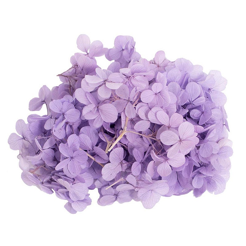 モノ・インターナショナル MONO　プリザーブドフラワー GPP-03　ピラミッドアジサイ ライラック 1箱（ご注文単位1箱）【直送品】