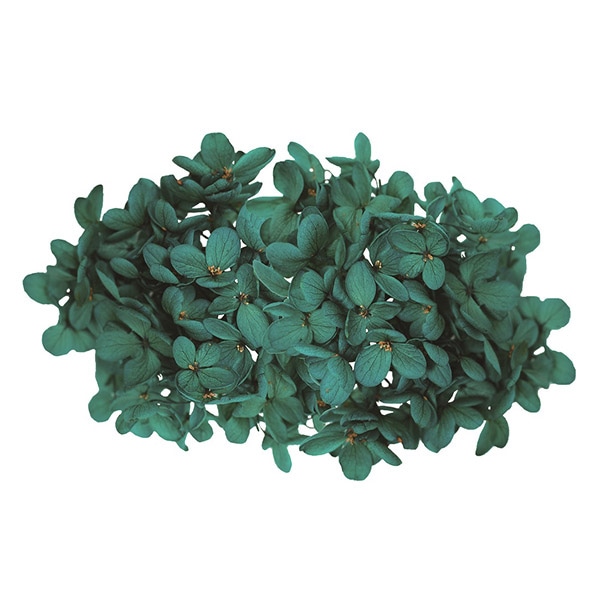 モノ・インターナショナル MONO　プリザーブドフラワー GPP-04　ピラミッドアジサイ クローバーグリーン 1箱（ご注文単位1箱）【直送品】