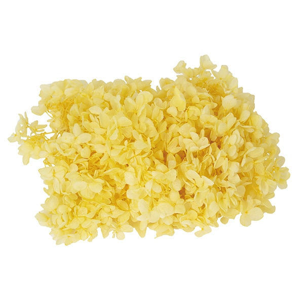 モノ・インターナショナル MONO　プリザーブドフラワー GPP-07　ピラミッドアジサイ レモン 1箱（ご注文単位1箱）【直送品】