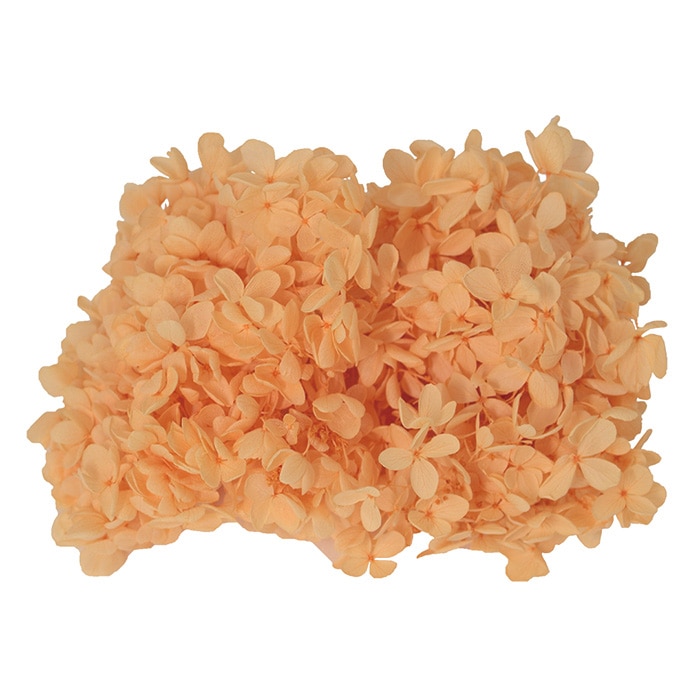 モノ・インターナショナル MONO　プリザーブドフラワー GPP-08　ピラミッドアジサイ オレンジ 1箱（ご注文単位1箱）【直送品】