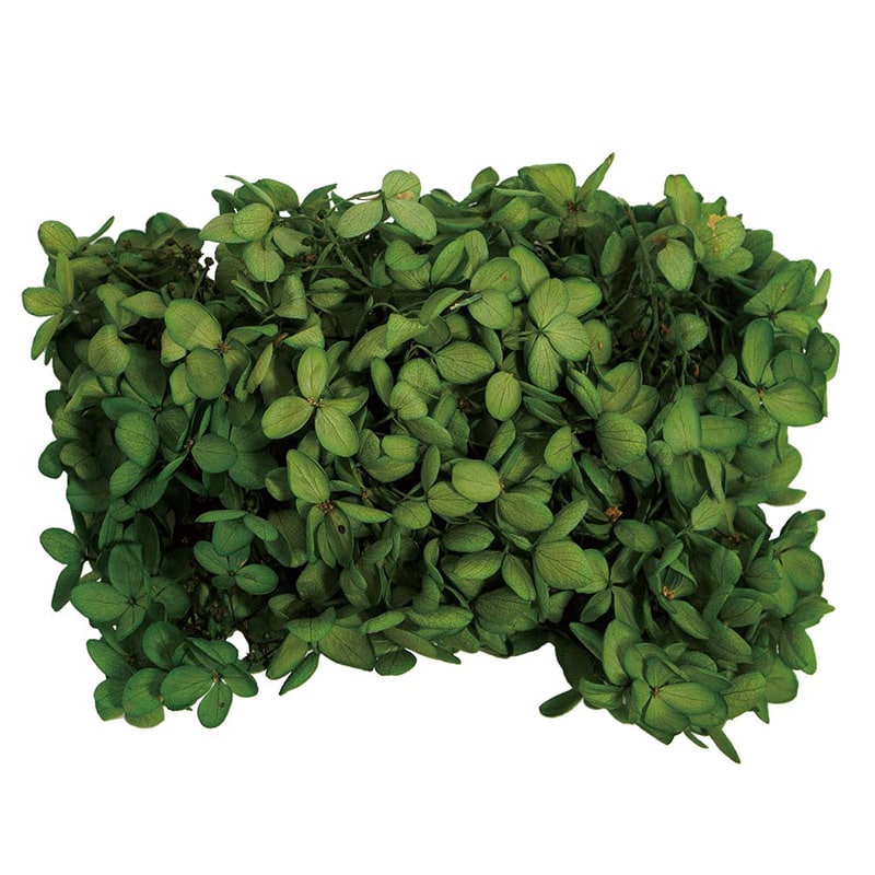 モノ・インターナショナル MONO　プリザーブドフラワー GPP-12　ピラミッドアジサイ グリーン 1箱（ご注文単位1箱）【直送品】