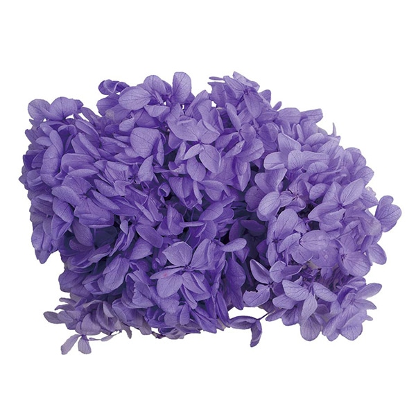 モノ・インターナショナル MONO　プリザーブドフラワー GPP-15　ピラミッドアジサイ フジイロ 1箱（ご注文単位1箱）【直送品】