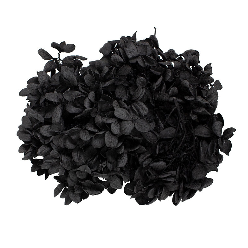 モノ・インターナショナル プリザーブドフラワー　ピラミッドアジサイ ブラック GPP-21 1箱（ご注文単位1箱）【直送品】