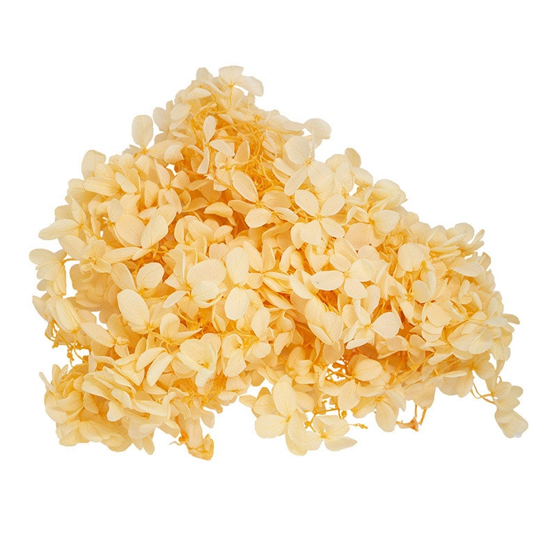 モノ・インターナショナル プリザーブドフラワー　ピラミッドアジサイ シャンパン GPP-24 1箱（ご注文単位1箱）【直送品】