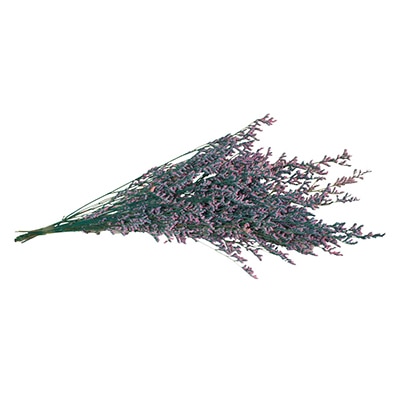 モノ・インターナショナル MONO　プリザーブドフラワー GPS-02　ブルファンスターチス ベビーピンクシアン 1束（ご注文単位1束）【直送品】