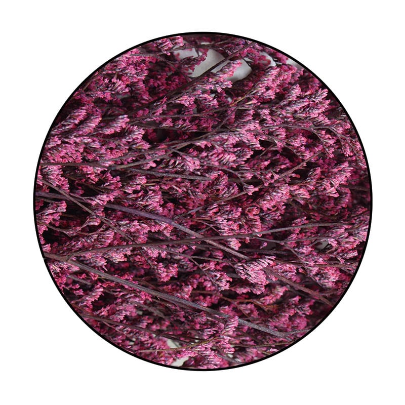 モノ・インターナショナル MONO　プリザーブドフラワー GPS-04　ブルファンスターチス ストロベリーバイオレット 1束（ご注文単位1束）【直送品】