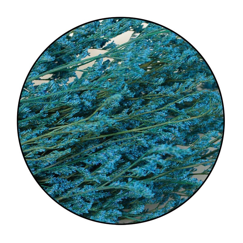 モノ・インターナショナル MONO　プリザーブドフラワー GPS-05　ブルファンスターチス ブルーグリーン 1束（ご注文単位1束）【直送品】