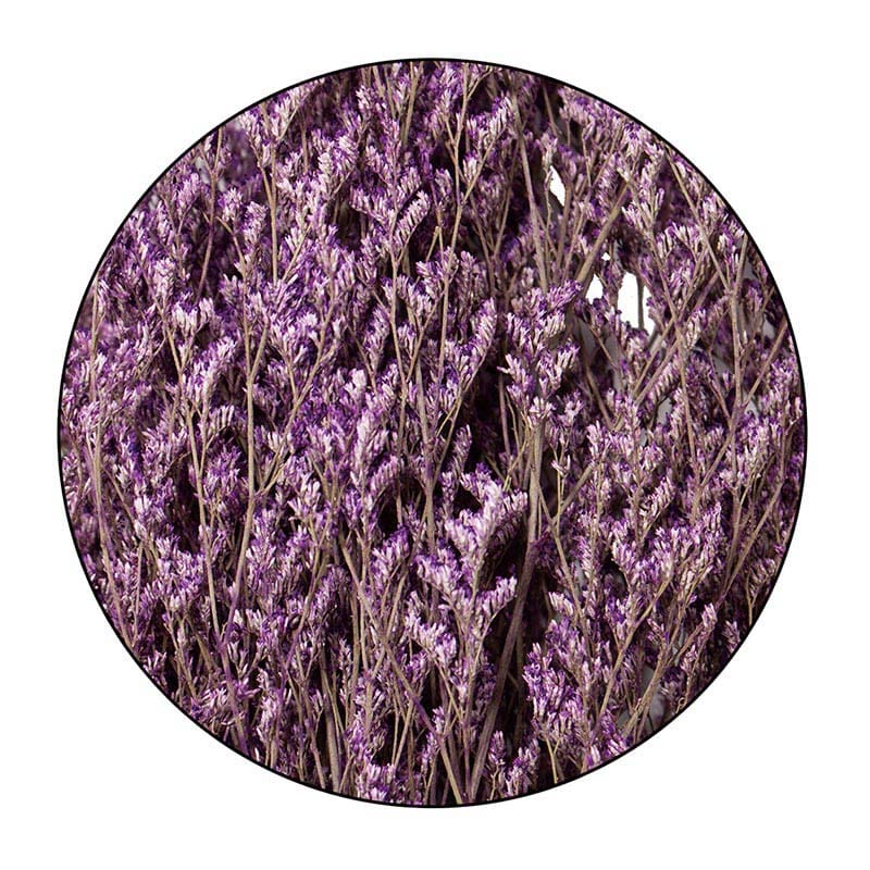 モノ・インターナショナル MONO　プリザーブドフラワー GPS-08　ブルファンスターチス パープル 1袋（ご注文単位1袋）【直送品】