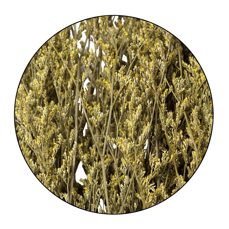 モノ・インターナショナル MONO　プリザーブドフラワー GPS-09　ブルファンスターチス イエロー 1袋（ご注文単位1袋）【直送品】