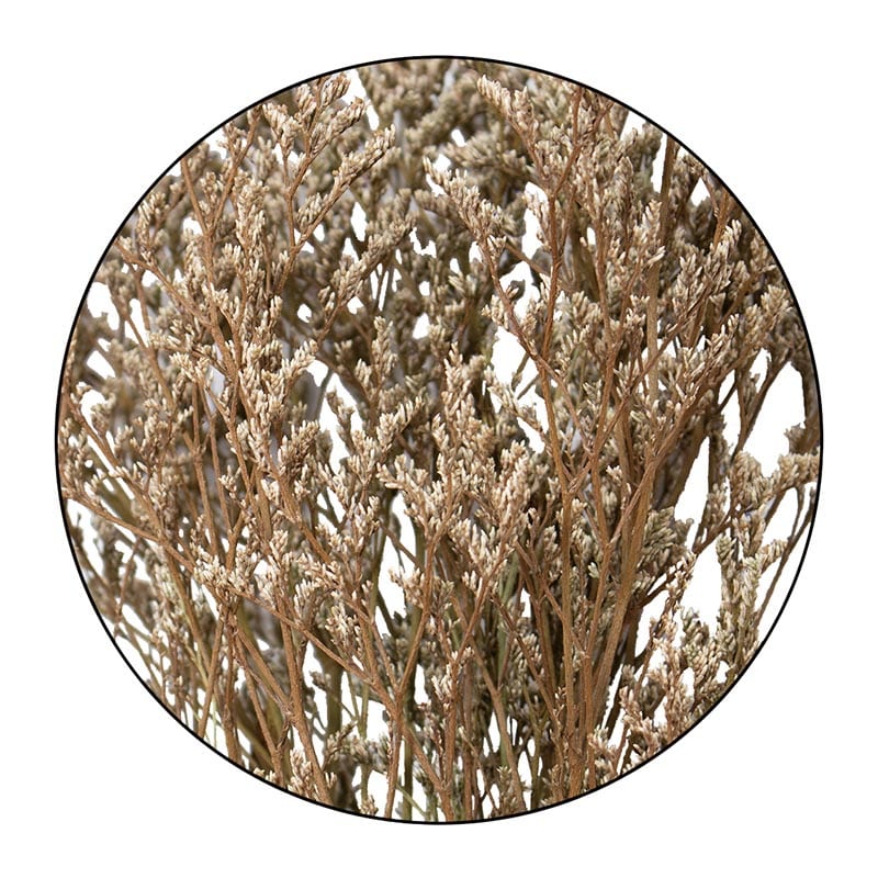 モノ・インターナショナル MONO　プリザーブドフラワー GPS-10　ブルファンスターチス ナチュラル 1袋（ご注文単位1袋）【直送品】