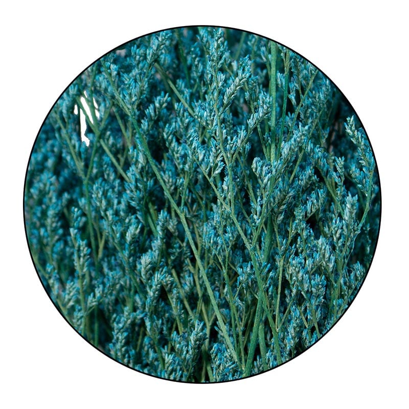 モノ・インターナショナル MONO　プリザーブドフラワー GPS-11　ブルファンスターチス シアン／グリーン 1袋（ご注文単位1袋）【直送品】