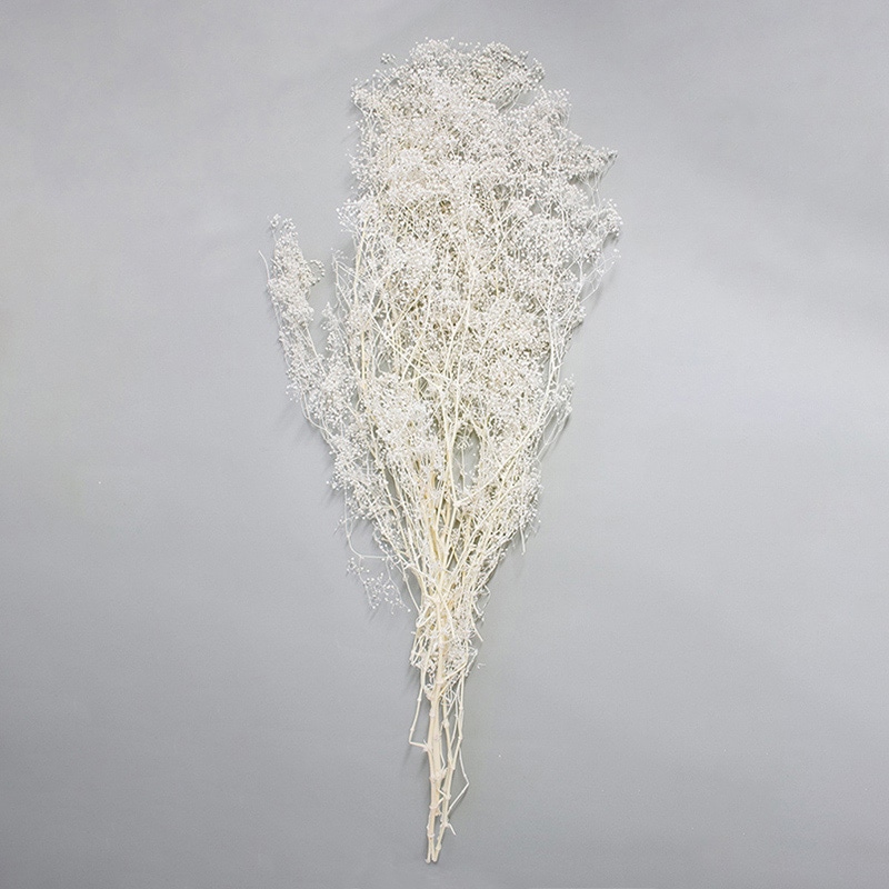 モノ・インターナショナル MONO プリザーブドフラワー GPソフトミニカスミ草 ホワイト GPGE-50 1束(ご注文単位1束)【直送品】