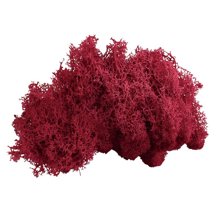 モノ・インターナショナル MONO　プリザーブドフラワー GPM-05　アイランドモス ワインレッド 1袋（ご注文単位1袋）【直送品】