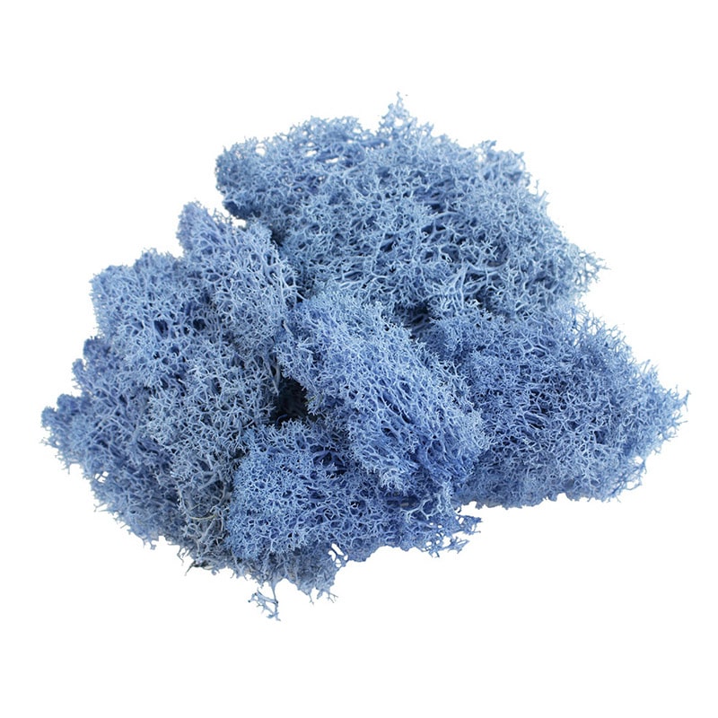 モノ・インターナショナル MONO　プリザーブドフラワー GPM-09　アイランドモス ダークブルー 1袋（ご注文単位1袋）【直送品】