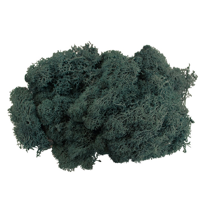 モノ・インターナショナル MONO　プリザーブドフラワー GPM-10　アイランドモス ネイビーグリーン 1袋（ご注文単位1袋）【直送品】