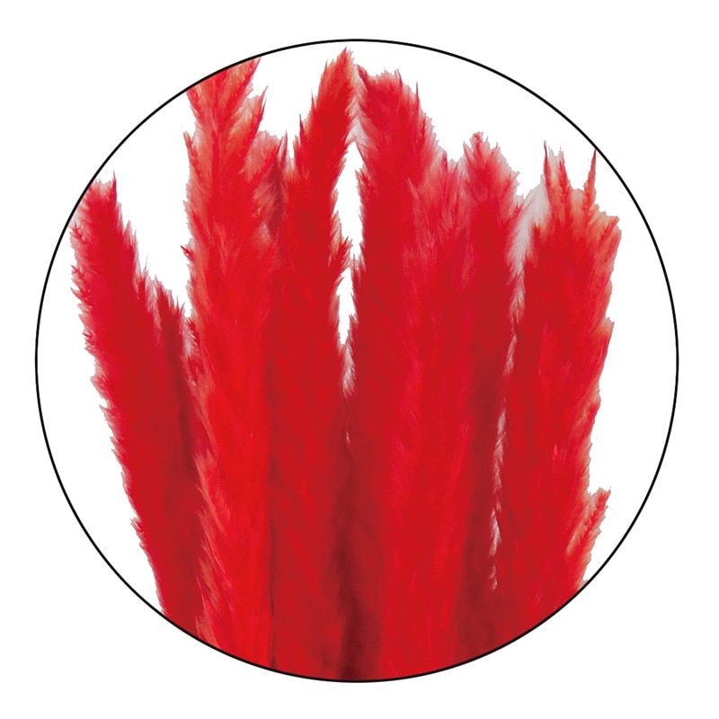 モノ・インターナショナル MONO ドライフラワー GPDTE-02 テールリード レッド 1袋(ご注文単位1袋)【直送品】