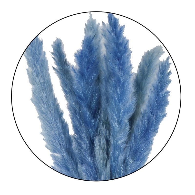 モノ・インターナショナル MONO ドライフラワー GPDTE-04 テールリード ライトブルー 1袋(ご注文単位1袋)【直送品】