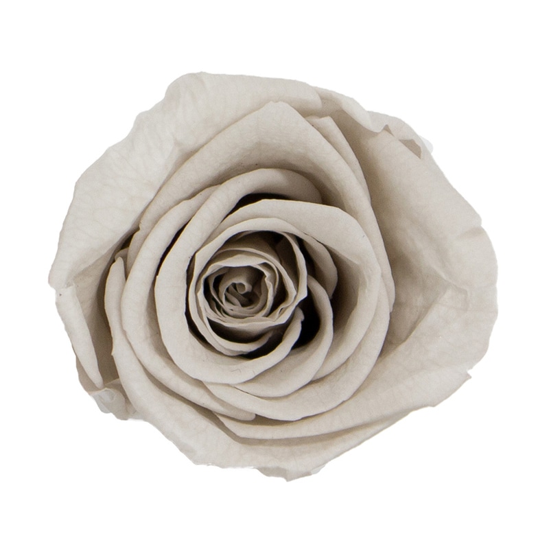 モノ・インターナショナル MONO プリザーブドフラワー GPリサローズ ナチュラルグレー GP910-58 1箱(ご注文単位1箱)【直送品】