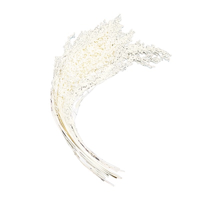 モノ・インターナショナル MONO　プリザーブドフラワー GPKB-01　キビ ホワイト 1袋（ご注文単位1袋）【直送品】