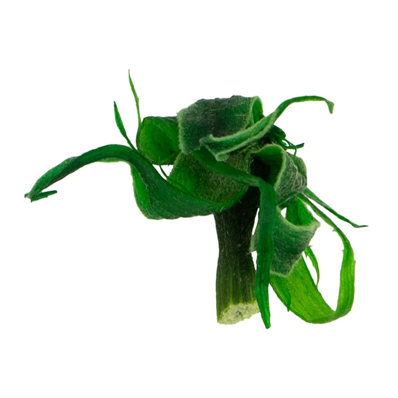 モノ・インターナショナル MONO プリザーブドフラワー GPローズ ガク グリーン GPBG-01 1箱(ご注文単位1箱)【直送品】