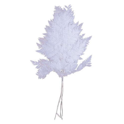 モノ・インターナショナル MONO　プリザーブドフラワー GPSN-05　シノブ ホワイト 1束（ご注文単位1束）【直送品】