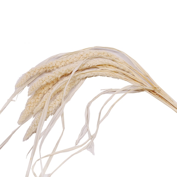 モノ・インターナショナル MONO　プリザーブドフラワー GPAW-01　粟 ナチュラル 1袋（ご注文単位1袋）【直送品】