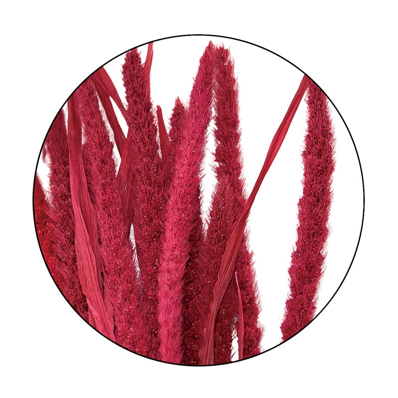 モノ・インターナショナル MONO　プリザーブドフラワー GPAW-03　粟 ワインレッド 1袋（ご注文単位1袋）【直送品】