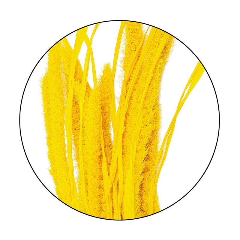 モノ・インターナショナル MONO　プリザーブドフラワー GPAW-04　粟 イエロー 1袋（ご注文単位1袋）【直送品】