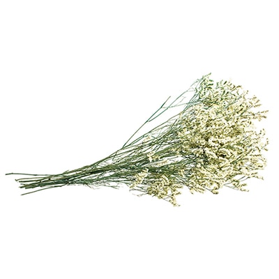 モノ・インターナショナル MONO　プリザーブドフラワー GPSS-03　リモニューム イエロー／グリーン 1袋（ご注文単位1袋）【直送品】