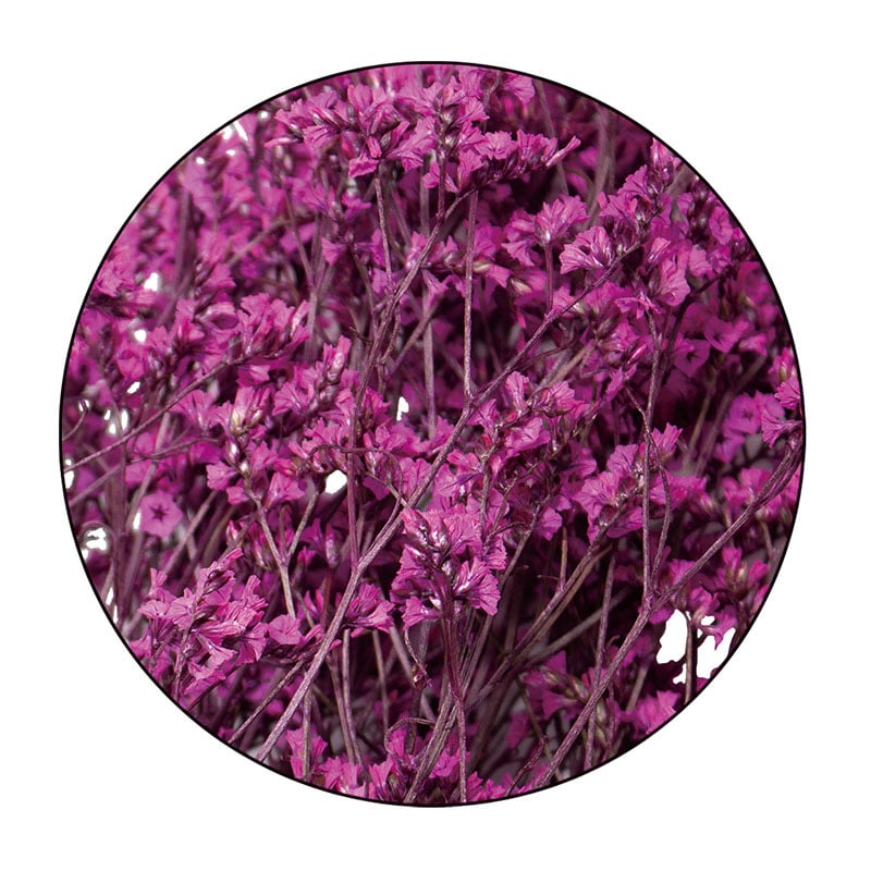 モノ・インターナショナル MONO　プリザーブドフラワー GPSS-04　リモニューム カシスベリー 1袋（ご注文単位1袋）【直送品】